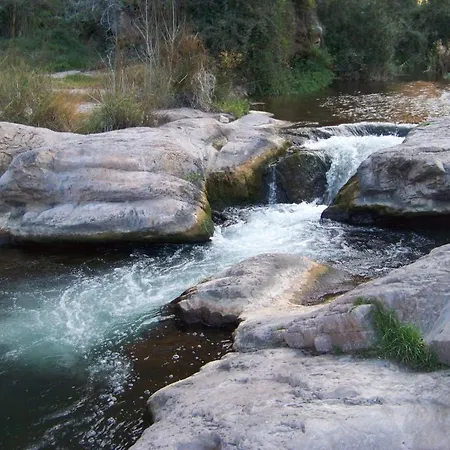 Chelo Navajas
